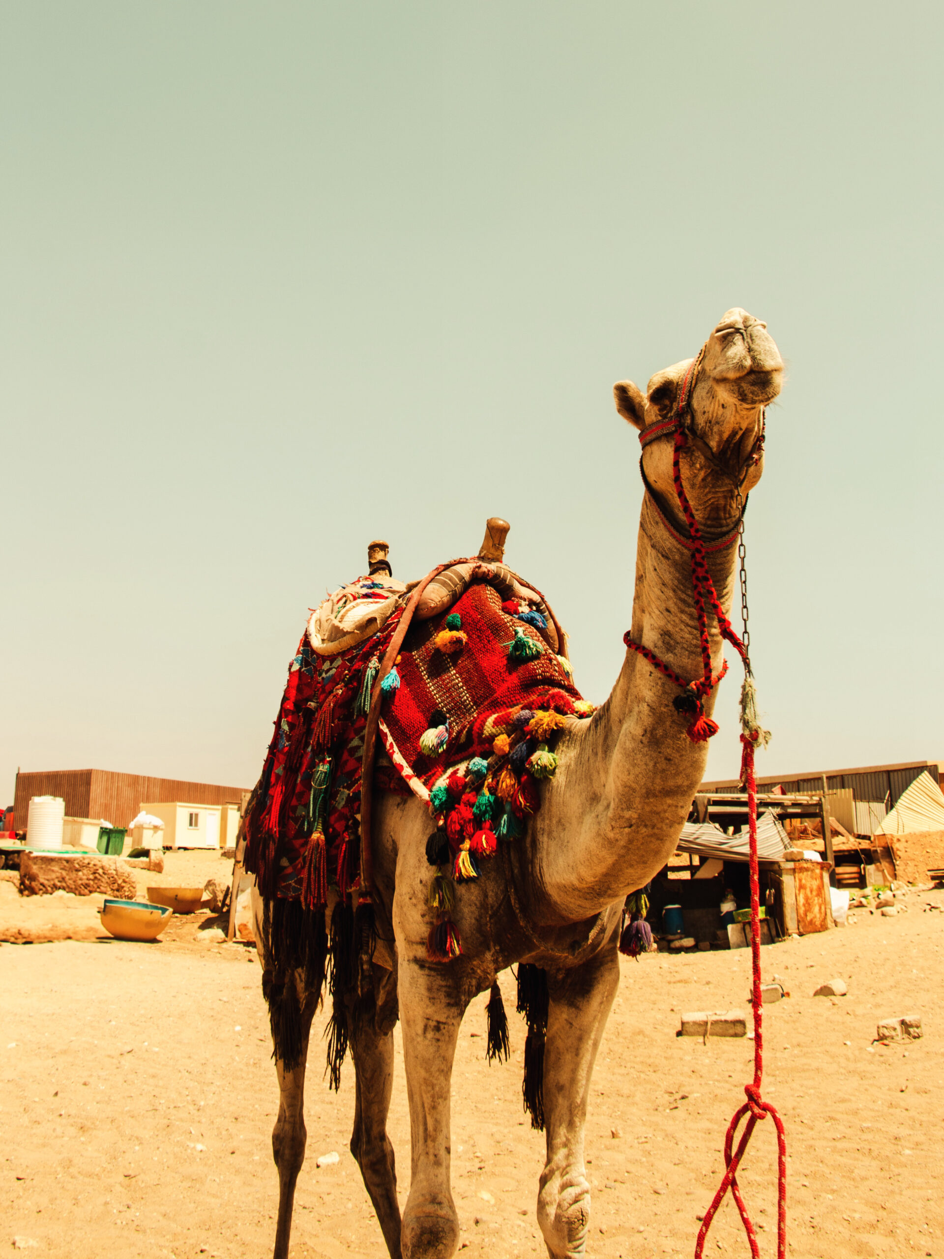 TRAVEL